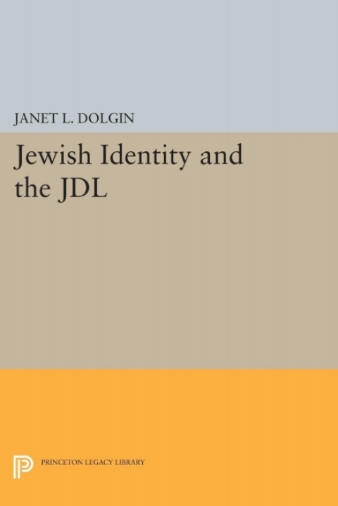Cover image for book Jewish Identity and the JDL