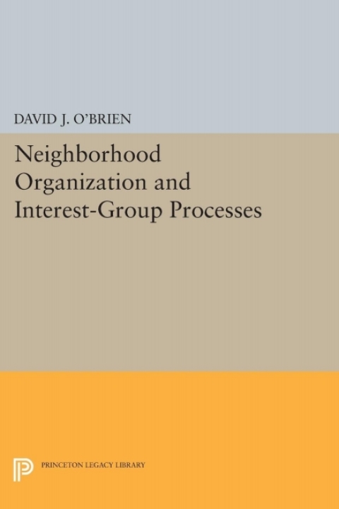 Cover image for book Neighborhood Organization and Interest-Group Processes