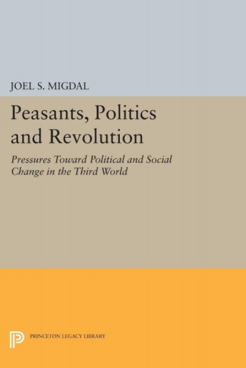 Cover image for book Peasants, Politics and Revolution