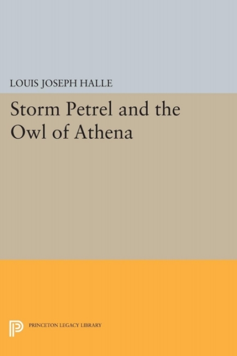 Cover image for book Storm Petrel and the Owl of Athena