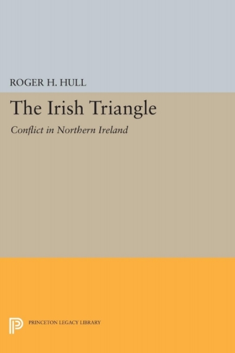 Cover image for book The Irish Triangle