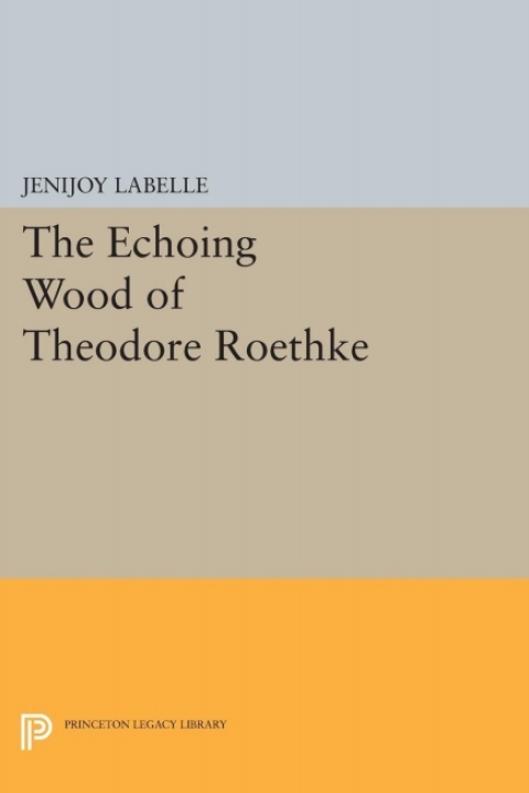 Cover image for book The Echoing Wood of Theodore Roethke