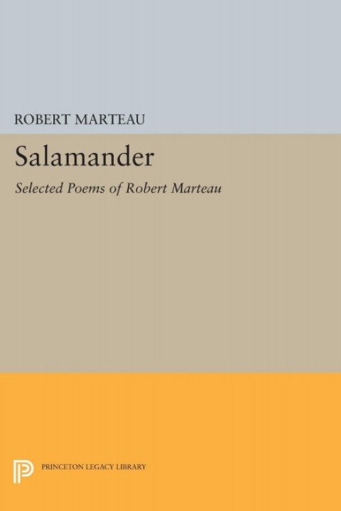 Cover image for book Salamander