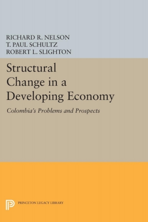Structural Change in a Developing Economy 