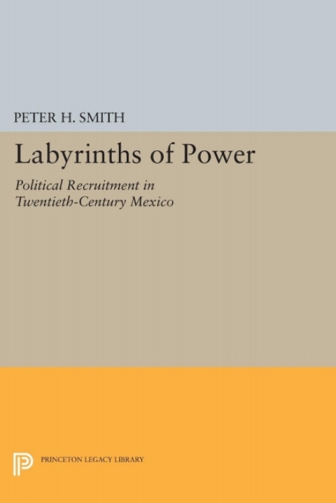 Cover image for book Labyrinths of Power