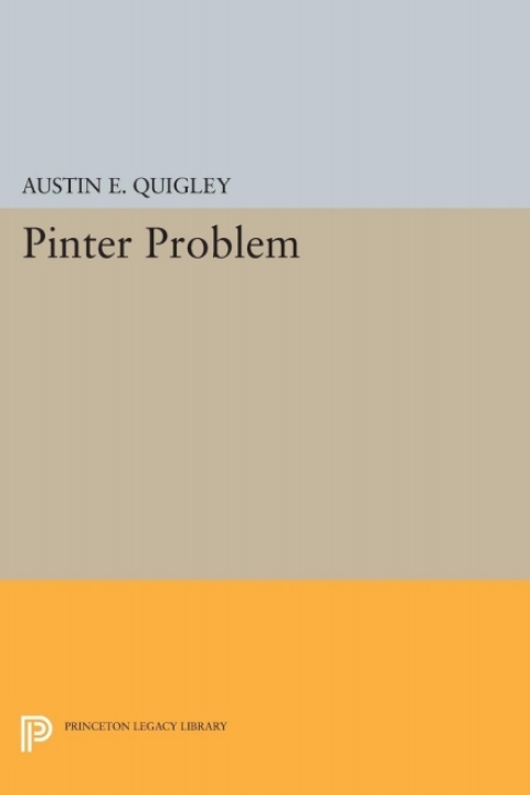 Cover image for book Pinter Problem