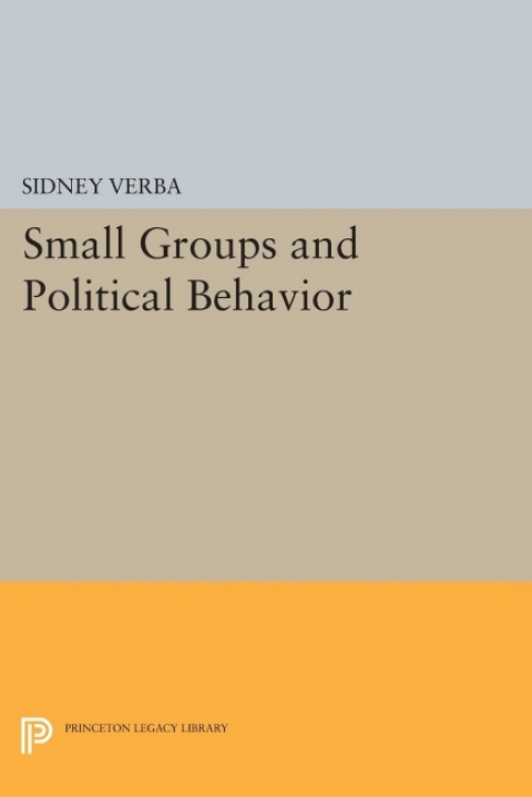 Cover image for book Small Groups and Political Behavior