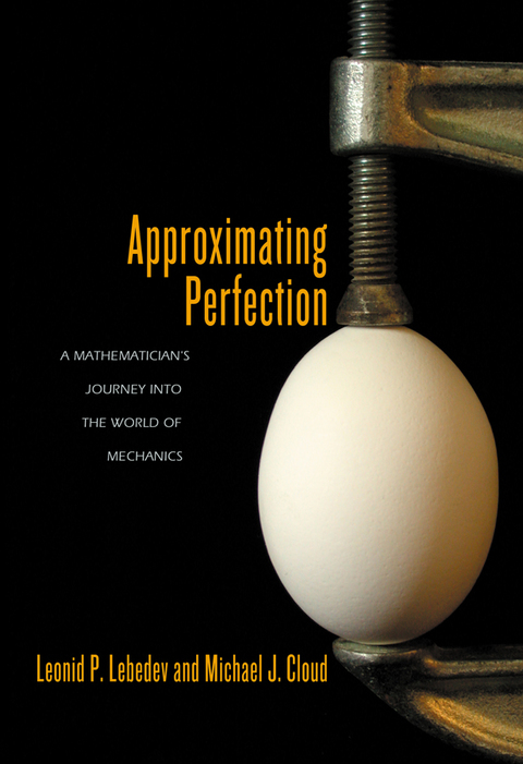 Cover image for book Approximating Perfection