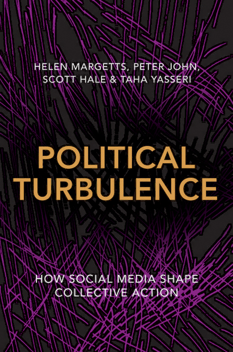 Political Turbulence 