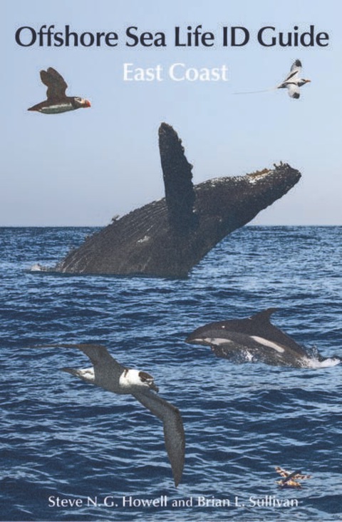 Cover image for book Offshore Sea Life ID Guide