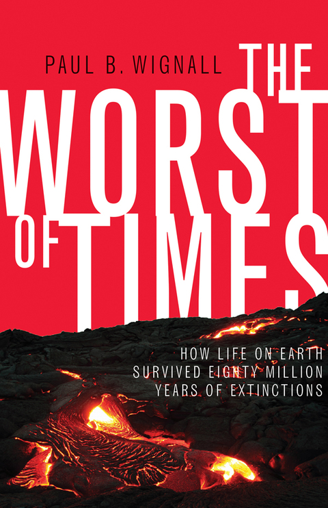Cover image for book The Worst of Times