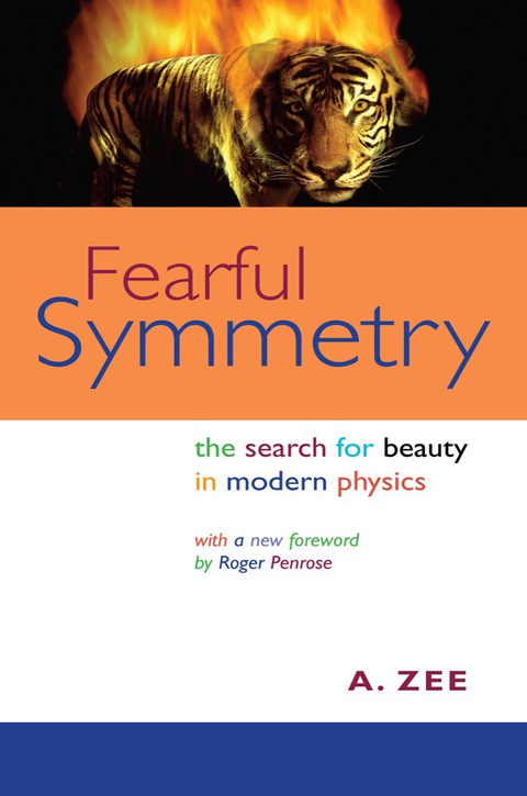 Cover image for book Fearful Symmetry
