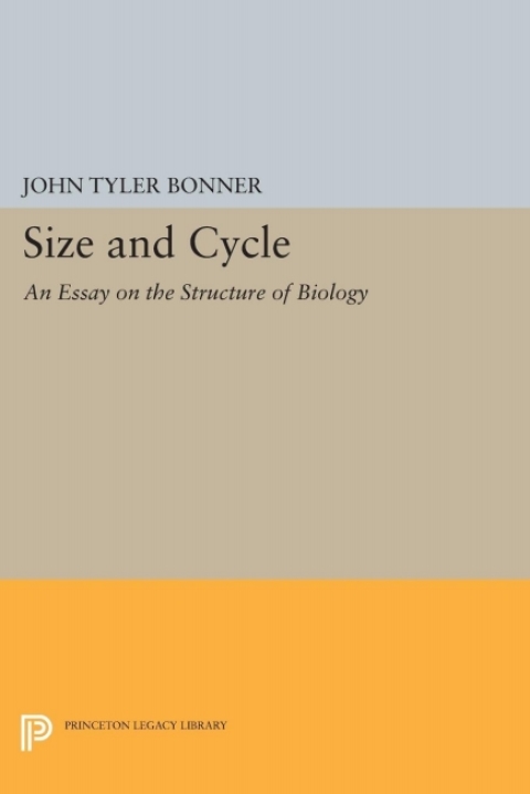 Cover image for book Size and Cycle