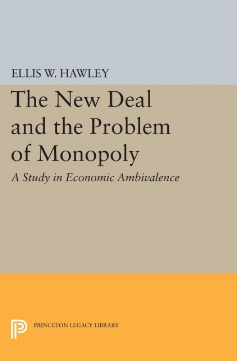 Cover image for book The New Deal and the Problem of Monopoly