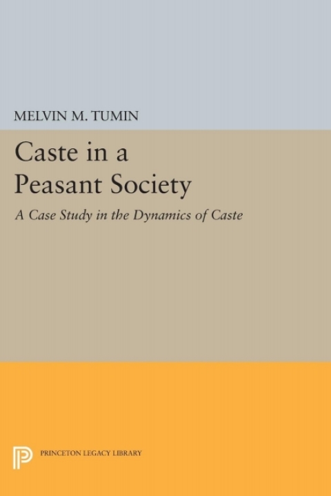 Cover image for book Caste in a Peasant Society
