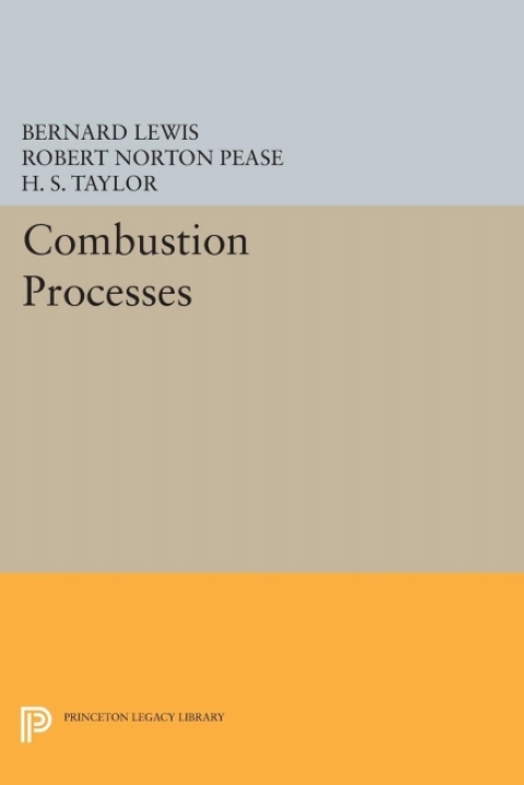 Combustion Processes 