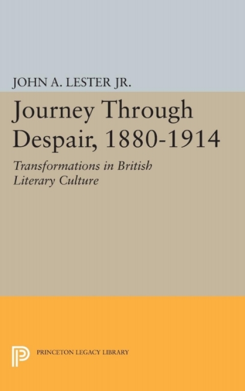 Cover image for book Journey Through Despair, 1880-1914