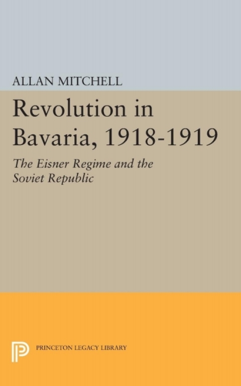 Cover image for book Revolution in Bavaria, 1918-1919