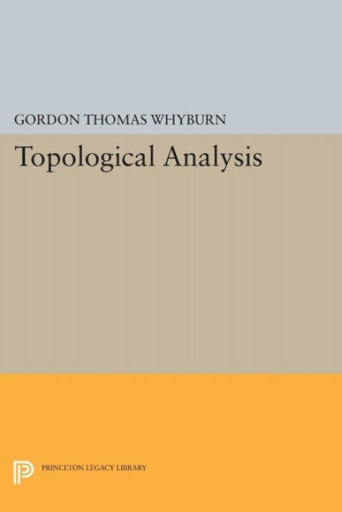 Topological Analysis 