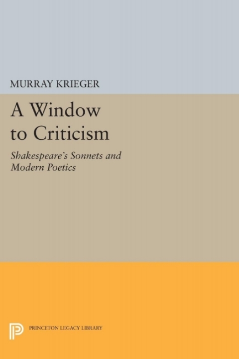 Cover image for book Window to Criticism