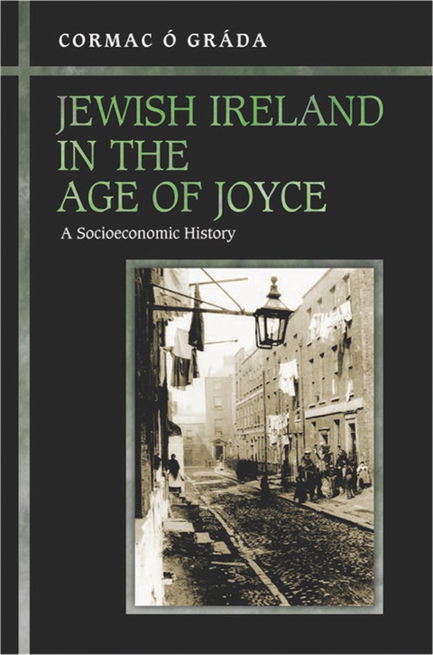 Cover image for book Jewish Ireland in the Age of Joyce