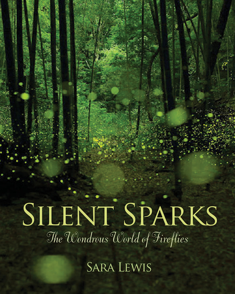 Cover image for book Silent Sparks