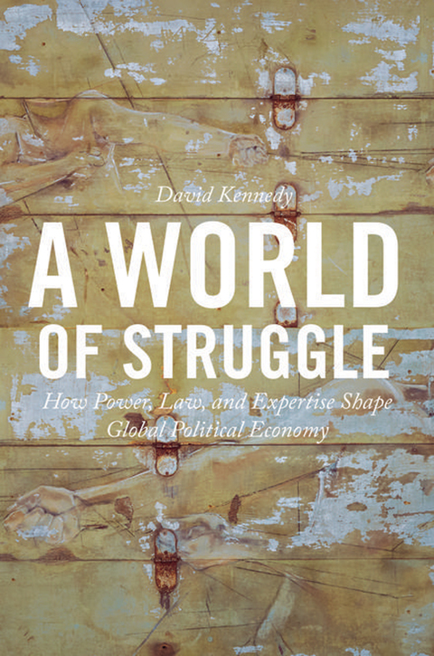 Cover image for book A World of Struggle