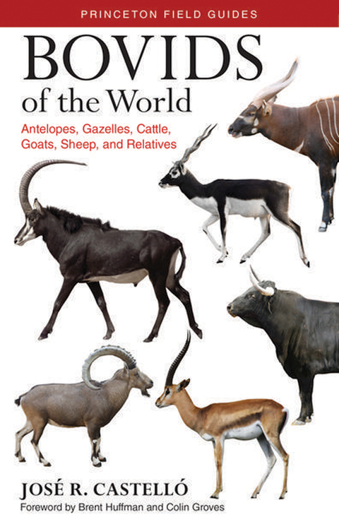 Cover image for book Bovids of the World