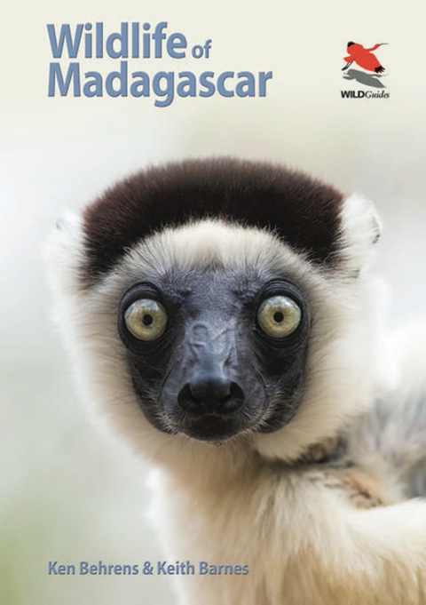 Wildlife of Madagascar 
