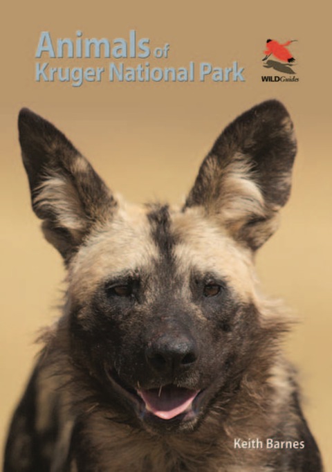 Animals of Kruger National Park 