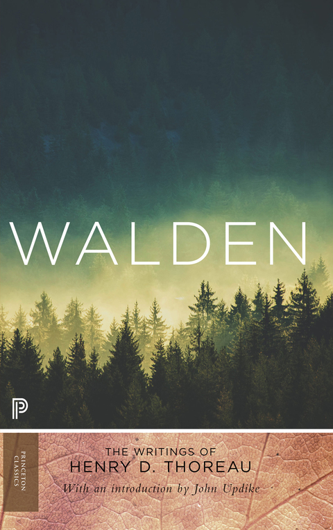 Cover image for book Walden
