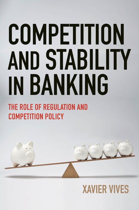 Competition and Stability in Banking 