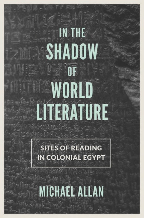 Cover image for book In the Shadow of World Literature