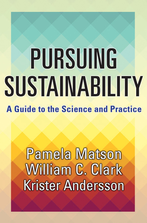 Cover image for book Pursuing Sustainability