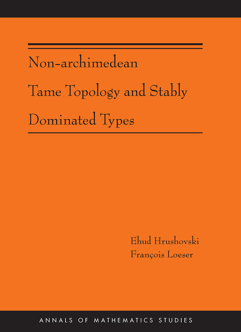 Cover image for book Non-Archimedean Tame Topology and Stably Dominated Types