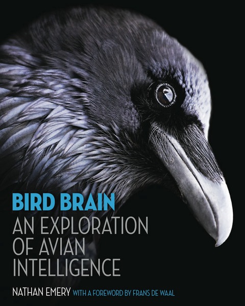 Cover image for book Bird Brain