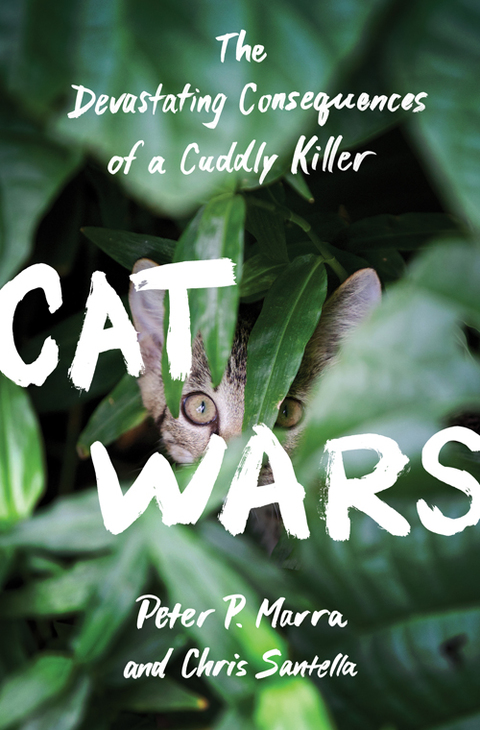Cat Wars 