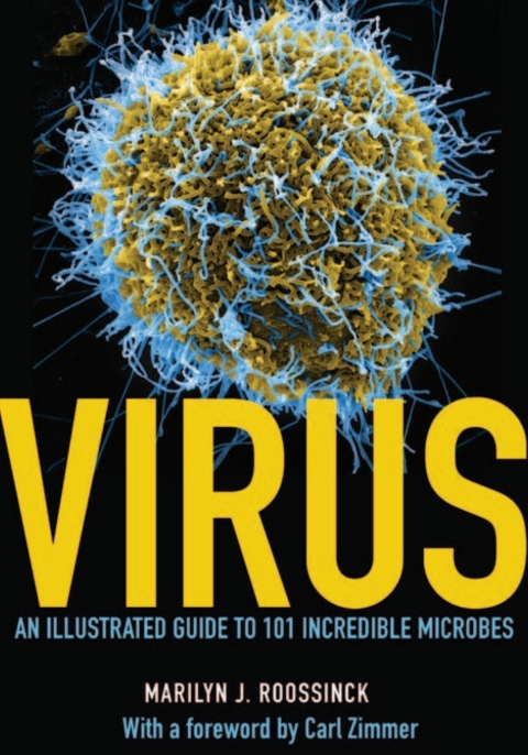 Cover image for book Virus