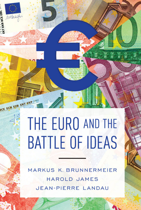 Cover image for book The Euro and the Battle of Ideas