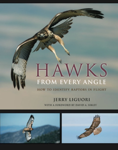 Cover image for book Hawks from Every Angle
