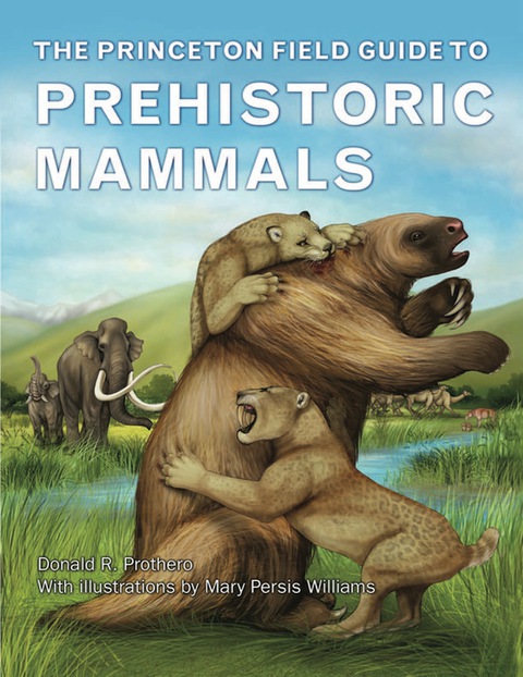 Cover image for book The Princeton Field Guide to Prehistoric Mammals