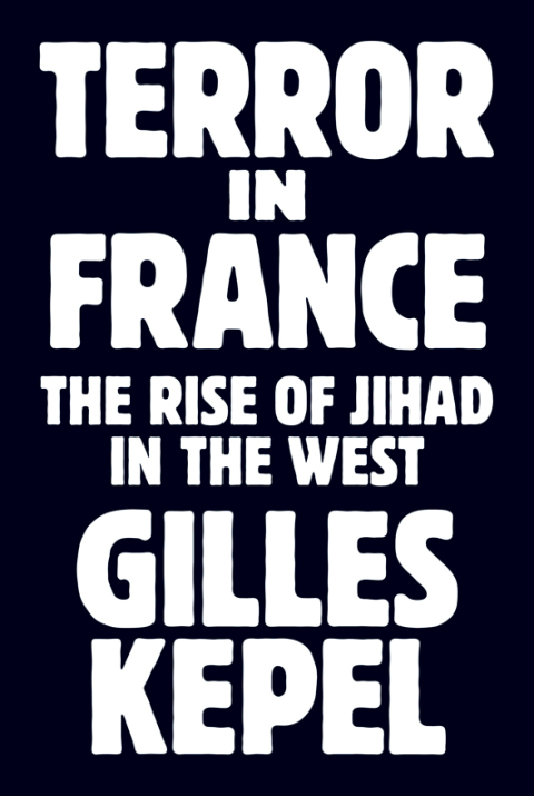 Cover image for book Terror in France