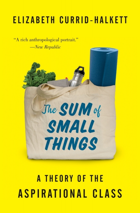 Cover image for book The Sum of Small Things