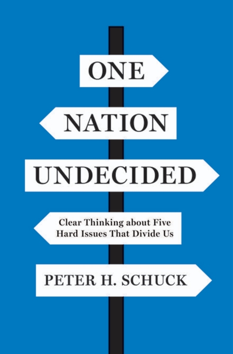 Cover image for book One Nation Undecided