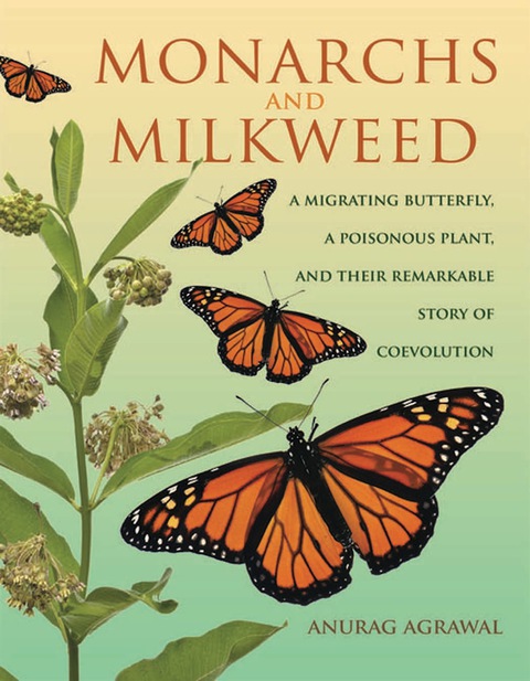 Cover image for book Monarchs and Milkweed