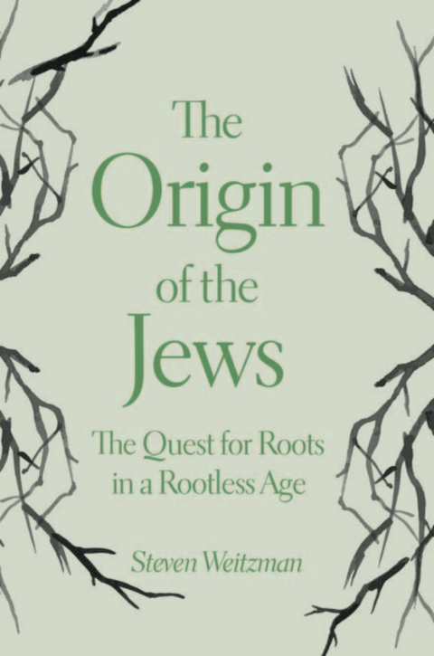 Cover image for book The Origin of the Jews