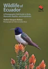 Cover image: Wildlife of Ecuador 9780691161365
