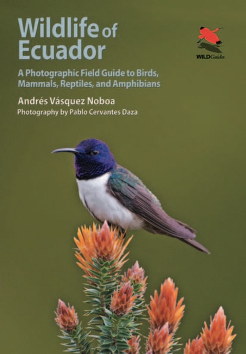 Wildlife Of Ecuador