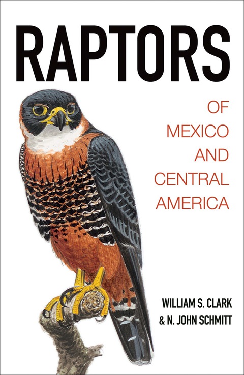 Cover image for book Raptors of Mexico and Central America