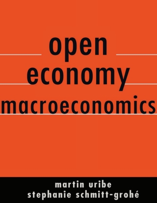 Open Economy Macroeconomics